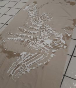 Envol dans les eaux claires